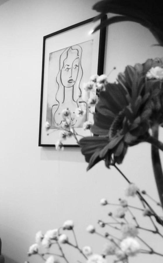Carnot Chic Appartement Carcassonne Buitenkant foto
